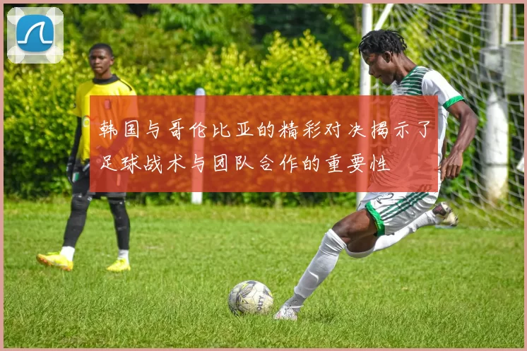 韩国与哥伦比亚的精彩对决揭示了足球战术与团队合作的重要性