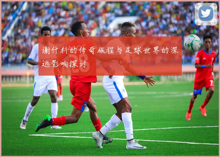 谢什科的传奇旅程与足球世界的深远影响探讨