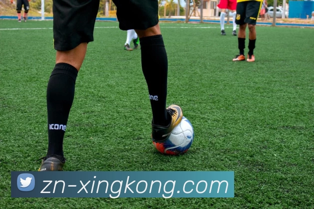 多媒体互动体验